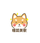 柴小小（個別スタンプ：1）