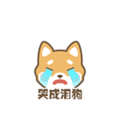 柴小小（個別スタンプ：2）