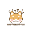 柴小小（個別スタンプ：8）
