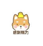 柴小小（個別スタンプ：12）