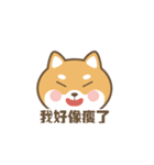 柴小小（個別スタンプ：14）