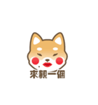 柴小小（個別スタンプ：17）