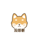 柴小小（個別スタンプ：20）