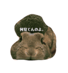 気分屋うさぎのラテ様。（個別スタンプ：4）