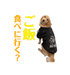 もっちゃん日常スタンプ（個別スタンプ：2）