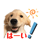 もっちゃん日常スタンプ（個別スタンプ：31）
