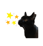黒猫のメイ（個別スタンプ：6）
