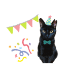 黒猫のメイ（個別スタンプ：19）