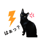 黒猫のメイ（個別スタンプ：27）