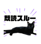黒猫のメイ（個別スタンプ：30）