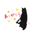 黒猫のメイ（個別スタンプ：31）