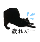 黒猫のメイ（個別スタンプ：32）