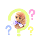 びびちゃんスタンプ 1（個別スタンプ：2）