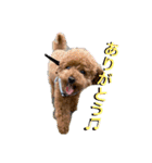 びびちゃんスタンプ 1（個別スタンプ：6）