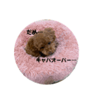 びびちゃんスタンプ 1（個別スタンプ：8）