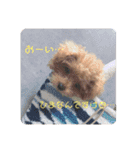 びびちゃんスタンプ 1（個別スタンプ：14）