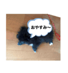 黒ポメラニアンのハルちゃん（個別スタンプ：4）