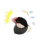 文鳥スタンプ（桜文鳥）（個別スタンプ：18）