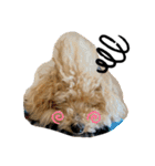 ふじもとそら（個別スタンプ：3）