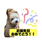 ふじもとそら（個別スタンプ：5）