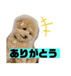 ふじもとそら（個別スタンプ：6）
