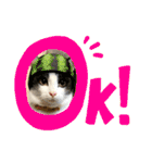 とある個人宅の犬と猫…（個別スタンプ：1）