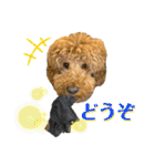 とある個人宅の犬と猫…（個別スタンプ：18）