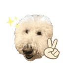 とある個人宅の犬と猫…（個別スタンプ：25）