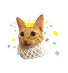 とある個人宅の犬と猫…（個別スタンプ：27）