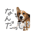 ピースのすたんぷ（個別スタンプ：2）