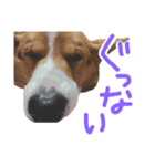 ピースのすたんぷ（個別スタンプ：6）