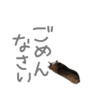 ピースのすたんぷ（個別スタンプ：9）
