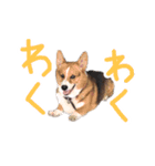 ピースのすたんぷ（個別スタンプ：11）