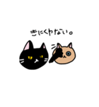 吉田家の短気猫とのんびり猫（個別スタンプ：8）