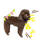 サスケとまりも！（個別スタンプ：22）