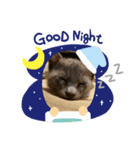 ここにゃ。（個別スタンプ：4）