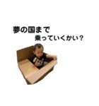 おうすけ 3（個別スタンプ：13）