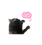 かいれんスタンプ2（個別スタンプ：7）