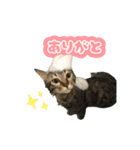 かいれんスタンプ2（個別スタンプ：9）