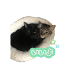 かいれんスタンプ2（個別スタンプ：12）