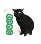 かいれんスタンプ2（個別スタンプ：20）