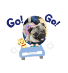 愛犬第一弾（個別スタンプ：8）