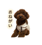 はなっちの気持ち（個別スタンプ：5）