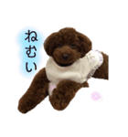 はなっちの気持ち（個別スタンプ：13）