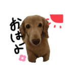 kunchanすたんぷ（個別スタンプ：4）