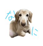 kunchanすたんぷ（個別スタンプ：5）