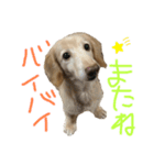 kunchanすたんぷ（個別スタンプ：7）
