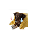 おコトさん（個別スタンプ：1）