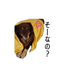 おコトさん（個別スタンプ：4）