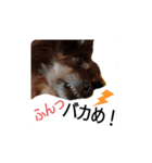 おコトさん（個別スタンプ：5）